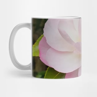 Pale Pink Camelia Mug